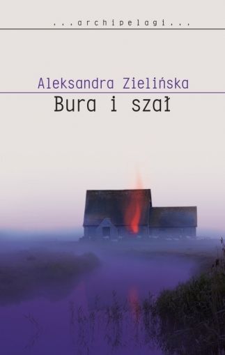 Nowa powieść Zielińskiej
